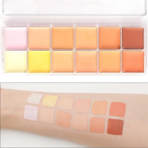 Anticernes LOFSHE 12 couleurs
