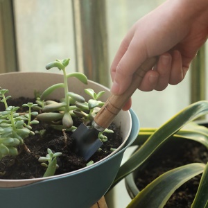 Mini kit 3 pièces pour outils de jardin (râteau + pelle pointue + pelle)