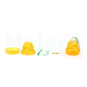 Piège à guêpe en bouteille