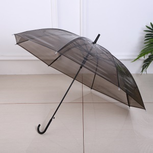 Parapluie long manche transparent