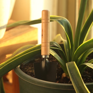 Mini kit 3 pièces pour outils de jardin (râteau + pelle pointue + pelle)