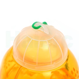 Piège à guêpe en bouteille