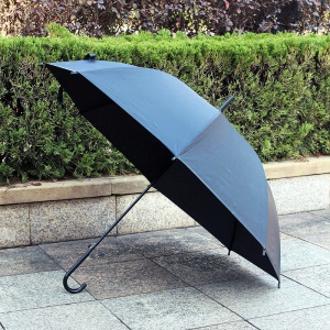 Parapluie long manche transparent