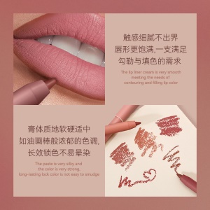 Lip Liner Hautement pigmenté et facile à utiliser pour les débutants.