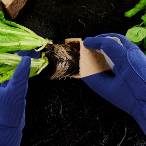 Gants de protection de jardin anti-perforation, épaississement et résistants à l'usure