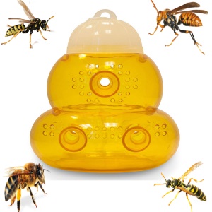 Piège à guêpe en bouteille