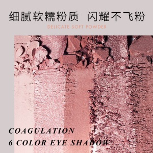 Disque de fard à paupières six couleurs une touche de poudre de couleur douce et délicate sans décoloration