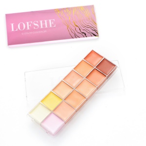 Anticernes LOFSHE 12 couleurs