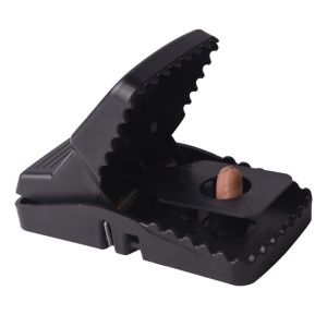 Piège à souris plastique pratique