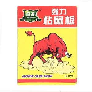 Piège collant à souris