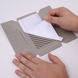 Piège à cafard autocollant 10 pièces/boîte