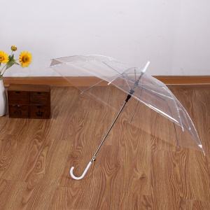 Parapluie long manche transparent