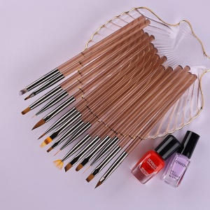 Pinceaux de manucure ensemble de de 15 pièces corps transparent en acrylique marron