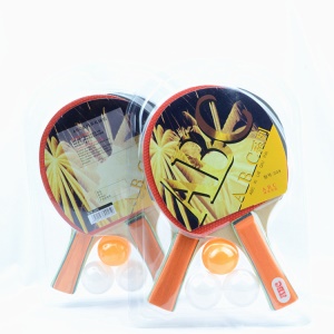 Ensemble de raquettes de tennis de table avec 3 balles offertes