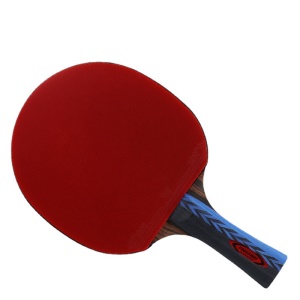 Raquette de tennis de table Crossway Six Star Professional Single Set High Stretch Double face