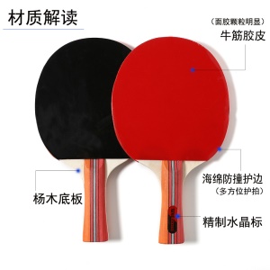 Kit de raquette de tennis de table Venison Professional Training Horizontal  et Double face