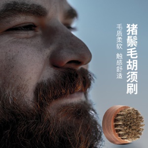Brosse à barbe  avec poignée en noix noire portable pour hommes