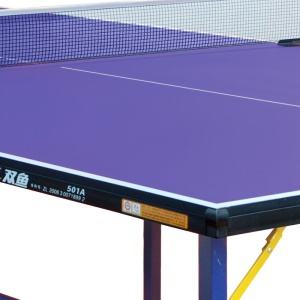 Table de ping-pong  501A Standard pour interieur