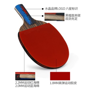 Raquette de tennis de table Crossway Six Star Professional Single Set High Stretch Double face