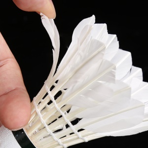 Paquet de 6 balles de badminton de compétition/entraînement