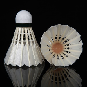 Ensemble de 12  balles de Badminton