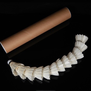 Ensemble de 12  balles de Badminton