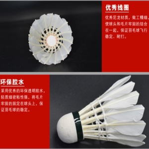 Ensemble de 12 balles de badminton