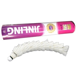 Ensemble de 12 balles de badminton