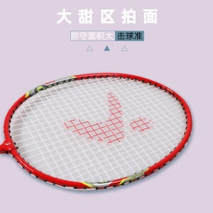 Raquette de badminton en alliage de fer, lot de 2