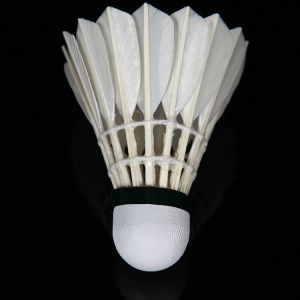 Ensemble de 12  balles de Badminton