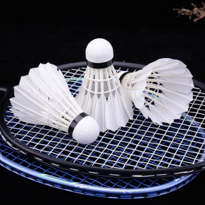 Paquet de 6 balles de badminton de compétition/entraînement