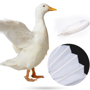 Ensemble de  balles de badminton