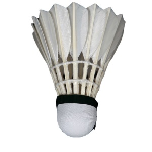 Ensemble de 12  balles de Badminton