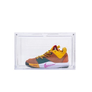 Armoire à chaussures transparente, étanche à la poussière et à l'humidité