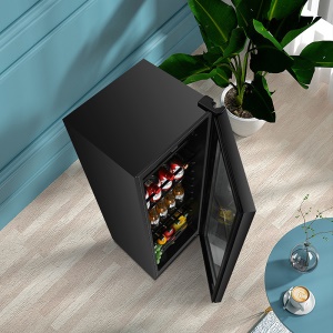 Frigo bar Royalstar  transparent