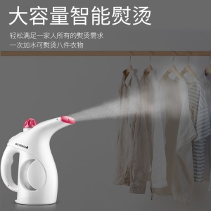 Petit fer à vapeur pour usage domestique Portable
