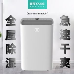 YAKE Déshumidificateur d'air  silencieux 6.5L