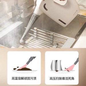FLEXWARM Machine de  nettoyage à vapeur  à main à haute pression pour nettoyage de la maison