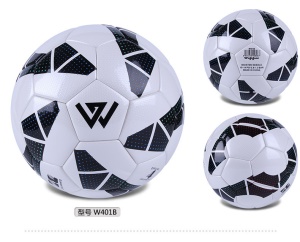 Ballon de football