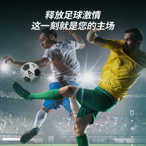Agnite F1203 PVC Ballon de  Football taille 5 standard