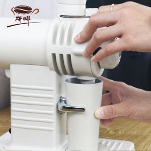 Moulin à café SIFEI en acier inoxydable plaqué titane