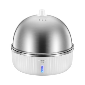 Cuiseur d'oeufs multifonction en acier inoxydable