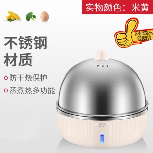 Cuiseur d'oeufs multifonction en acier inoxydable