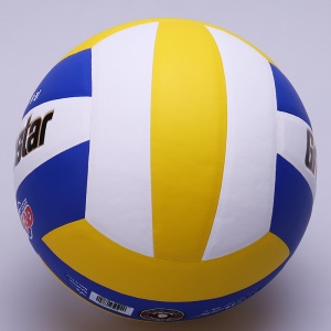 GROUP STAR Balle de volleyball en microfibre taille 5