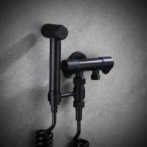 Pistolet de douche à haute pression une entrée et deux sorties, montage mural
