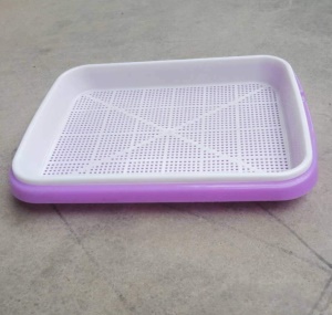 Pots de germination d'eau sans sol pour usage domestique