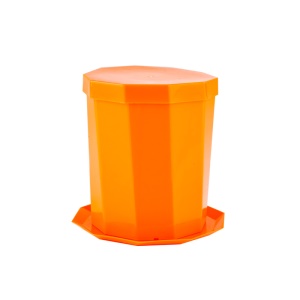 Pot de culture de graines de haricot