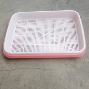 Pots de germination d'eau sans sol pour usage domestique