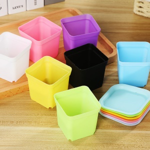 Pot carré de 5.5 cm pour semer les boutures