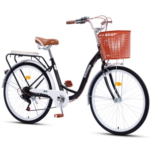 Vélo ordinaire pour adultes
